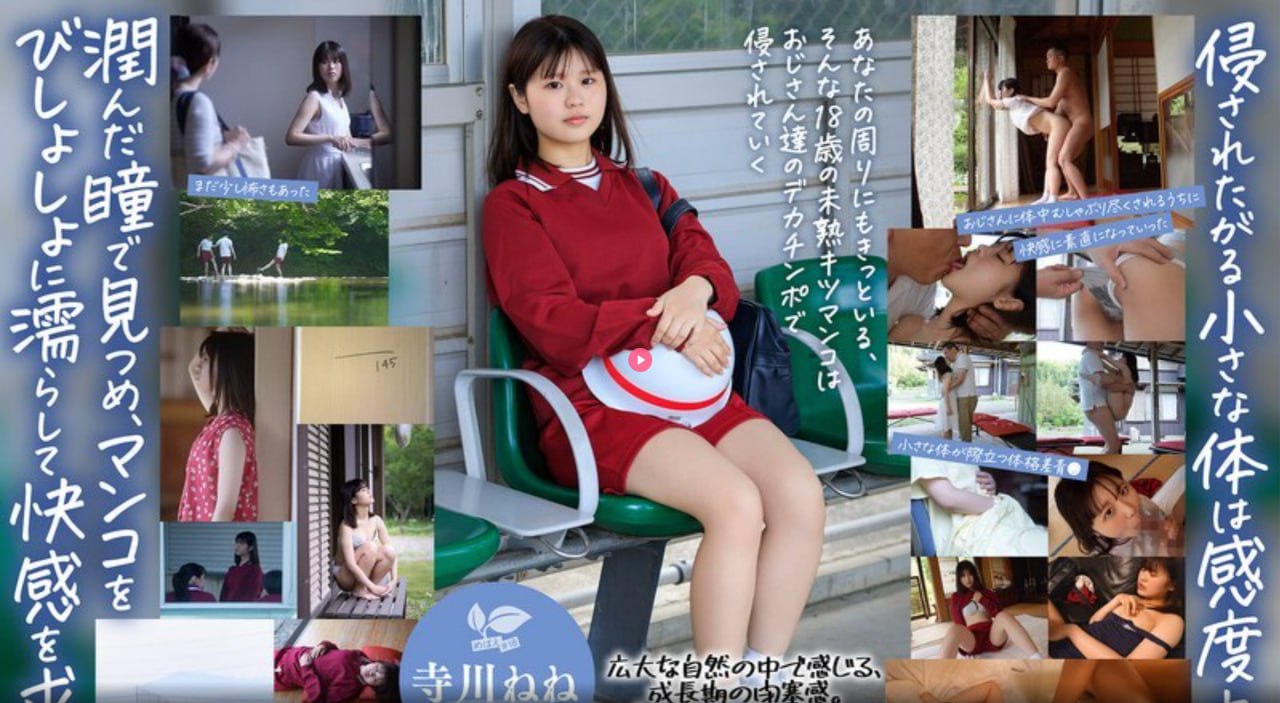 成人欧美一区二区三区白人メイリン モデルコレクション メ免费av一区二区在线观看